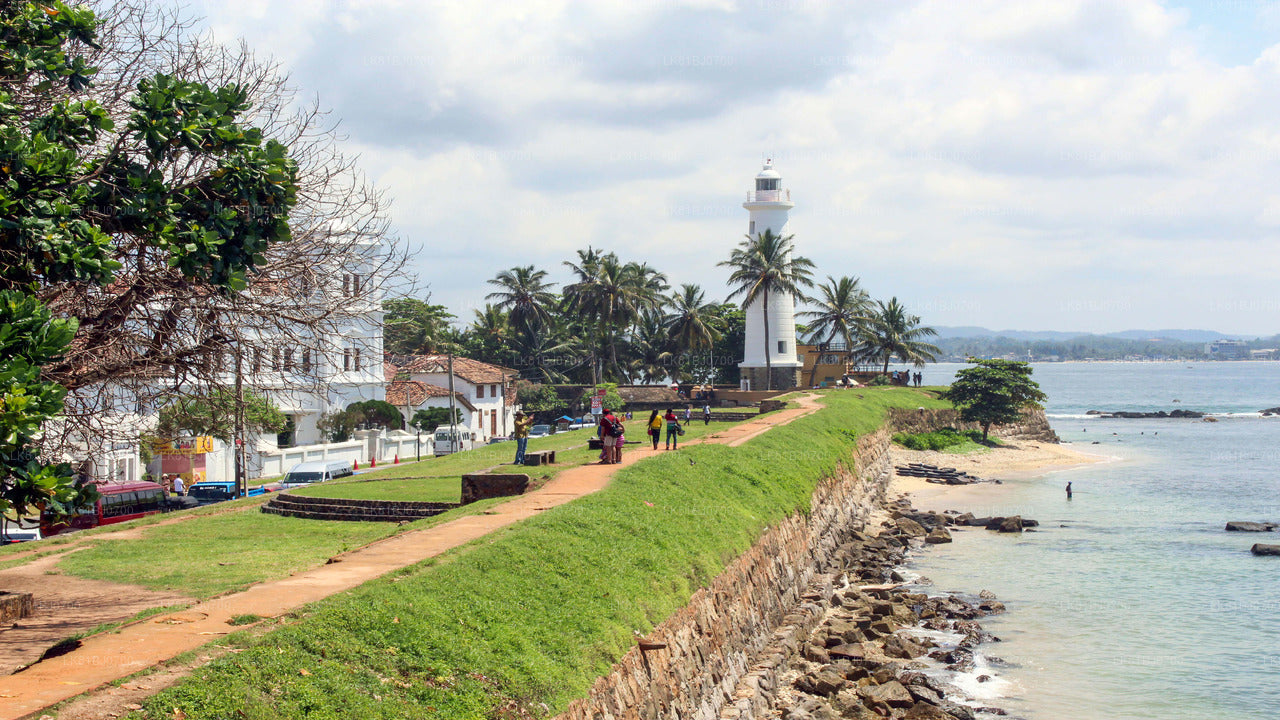 Southern Coast Highlights from Colombo Seaport