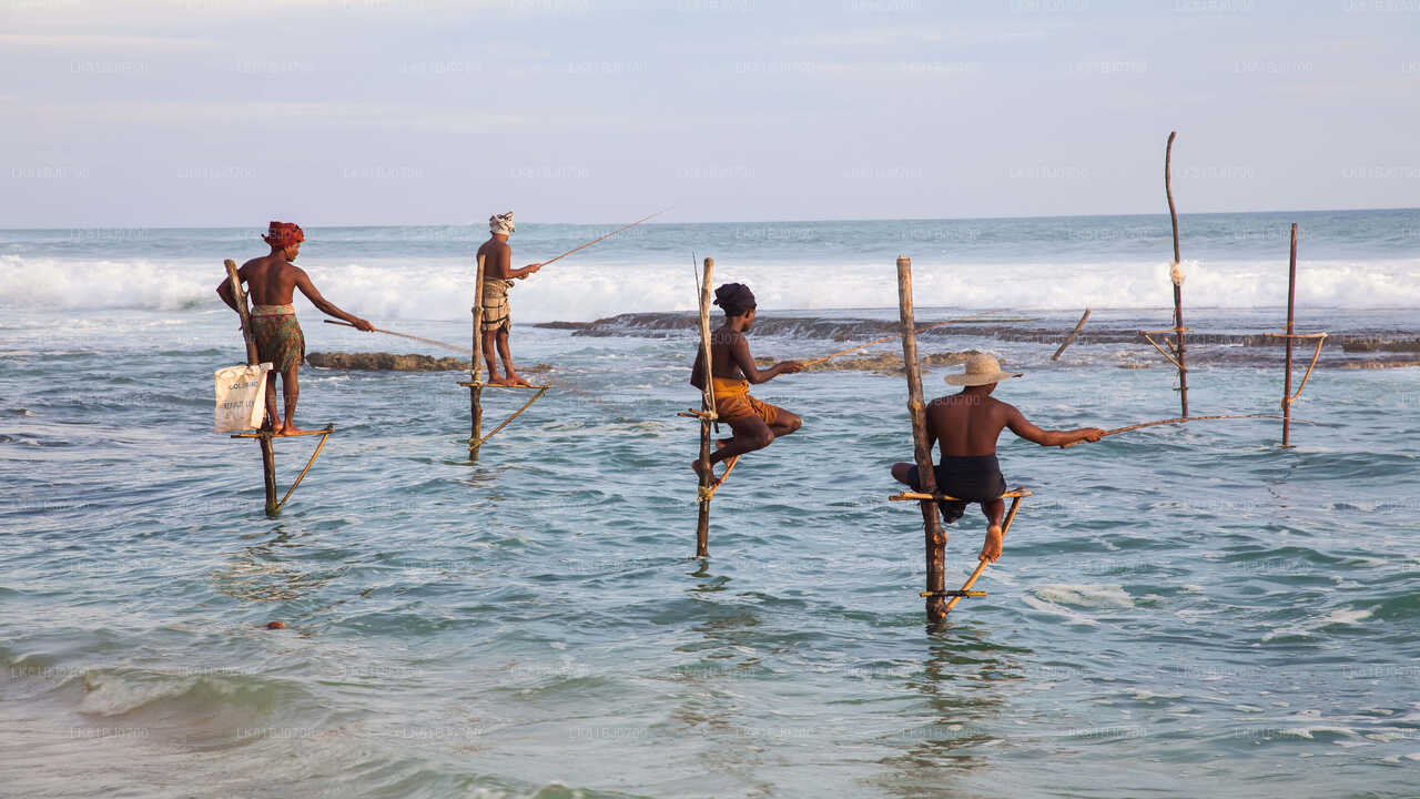 Southern Coast Highlights from Colombo Seaport