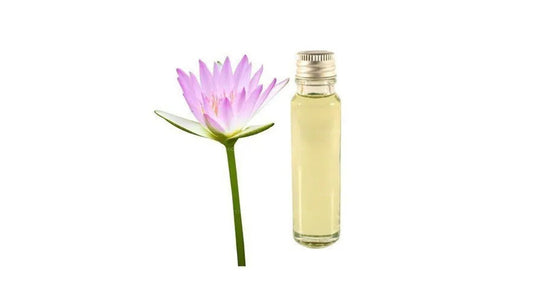 Lakpura Lotus Essential Oil (20ml)