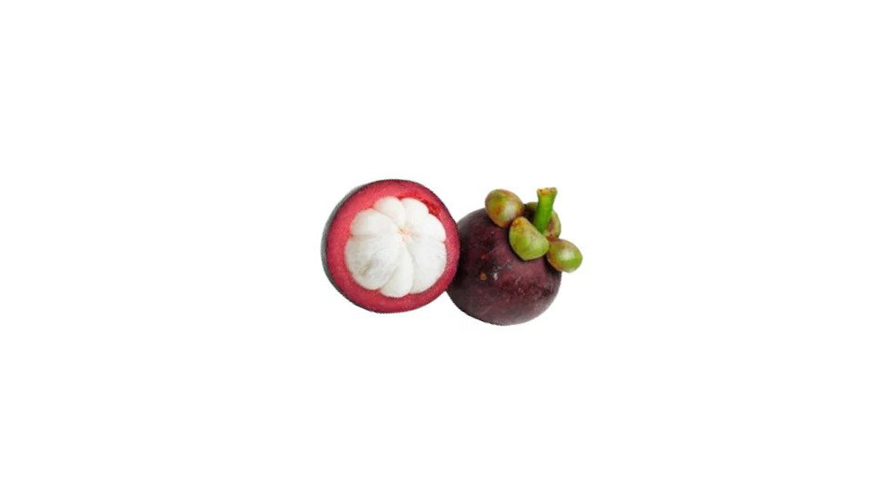 Mangosteen (මැංගුස් බද්ධ) Fruit Plant